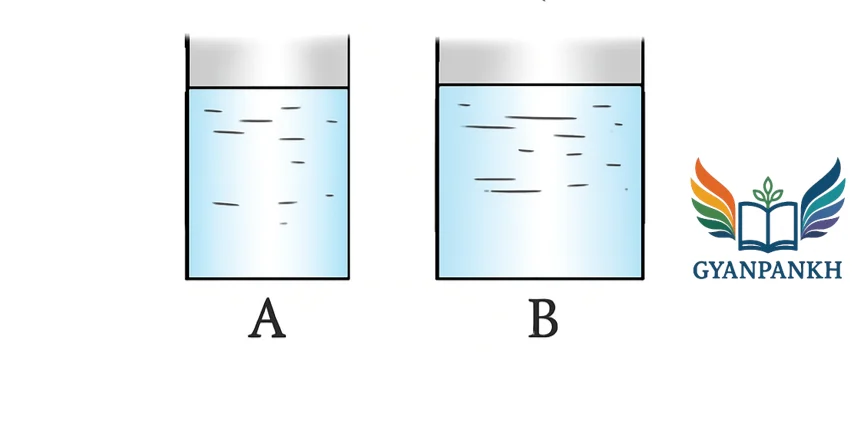 Two vessels,